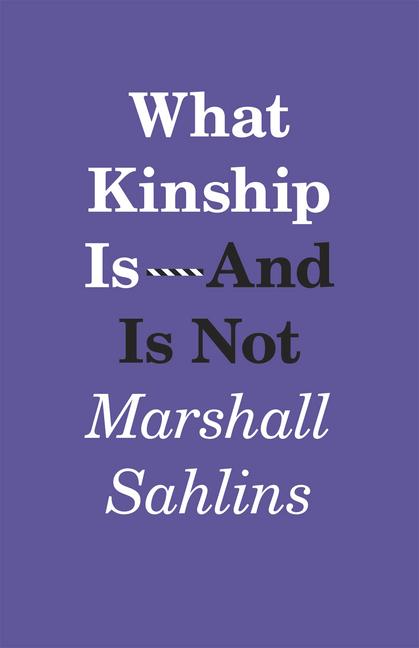 Vorderes Coverbild What Kinship Is-And Is Not