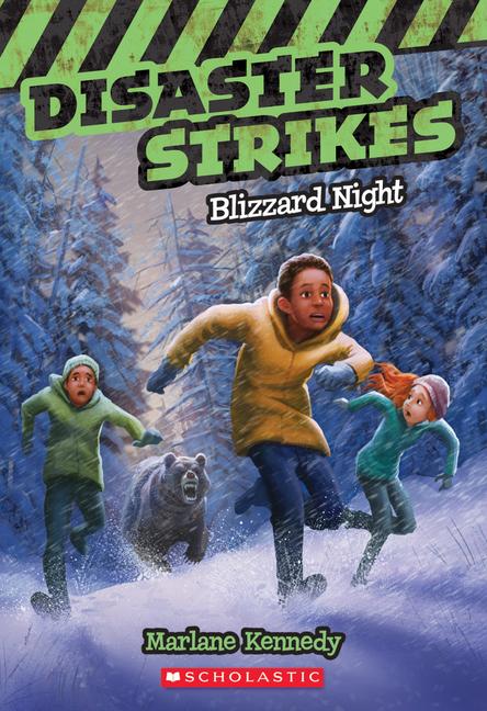 Vorderes Coverbild Blizzard Night (Disaster Strikes #3)