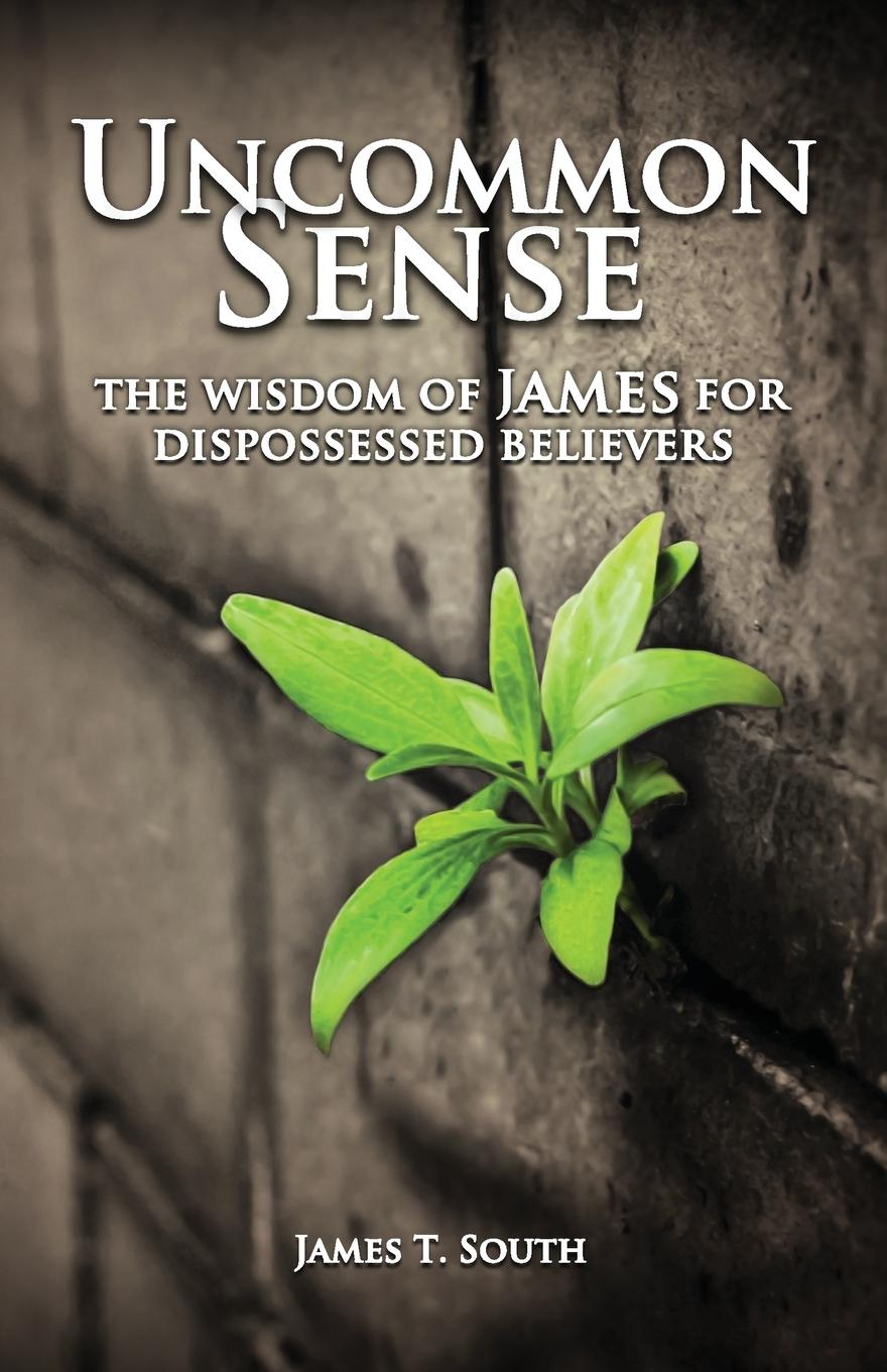 Vorderes Coverbild Uncommon Sense