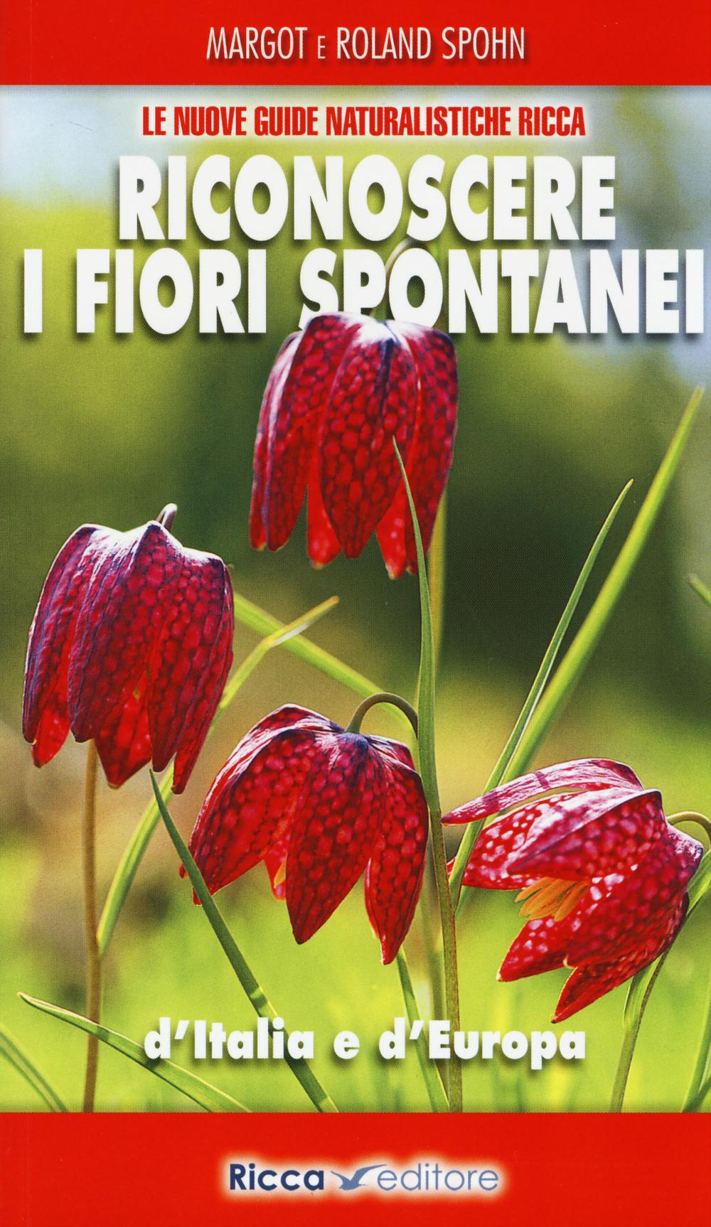 Vorderes Coverbild Riconoscere i fiori spontanei d'Italia e d'Europa