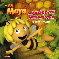 Vorderes Coverbild Ari Maya Kraliceye Mesaj Var