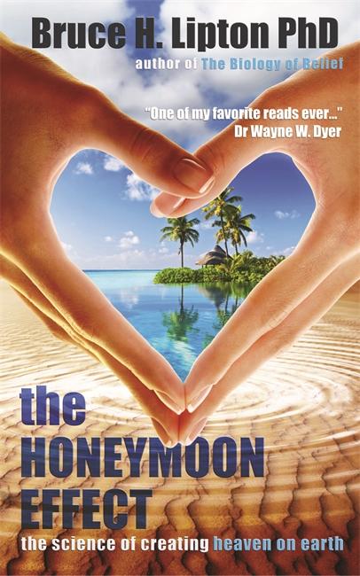 Vorderes Coverbild The Honeymoon Effect
