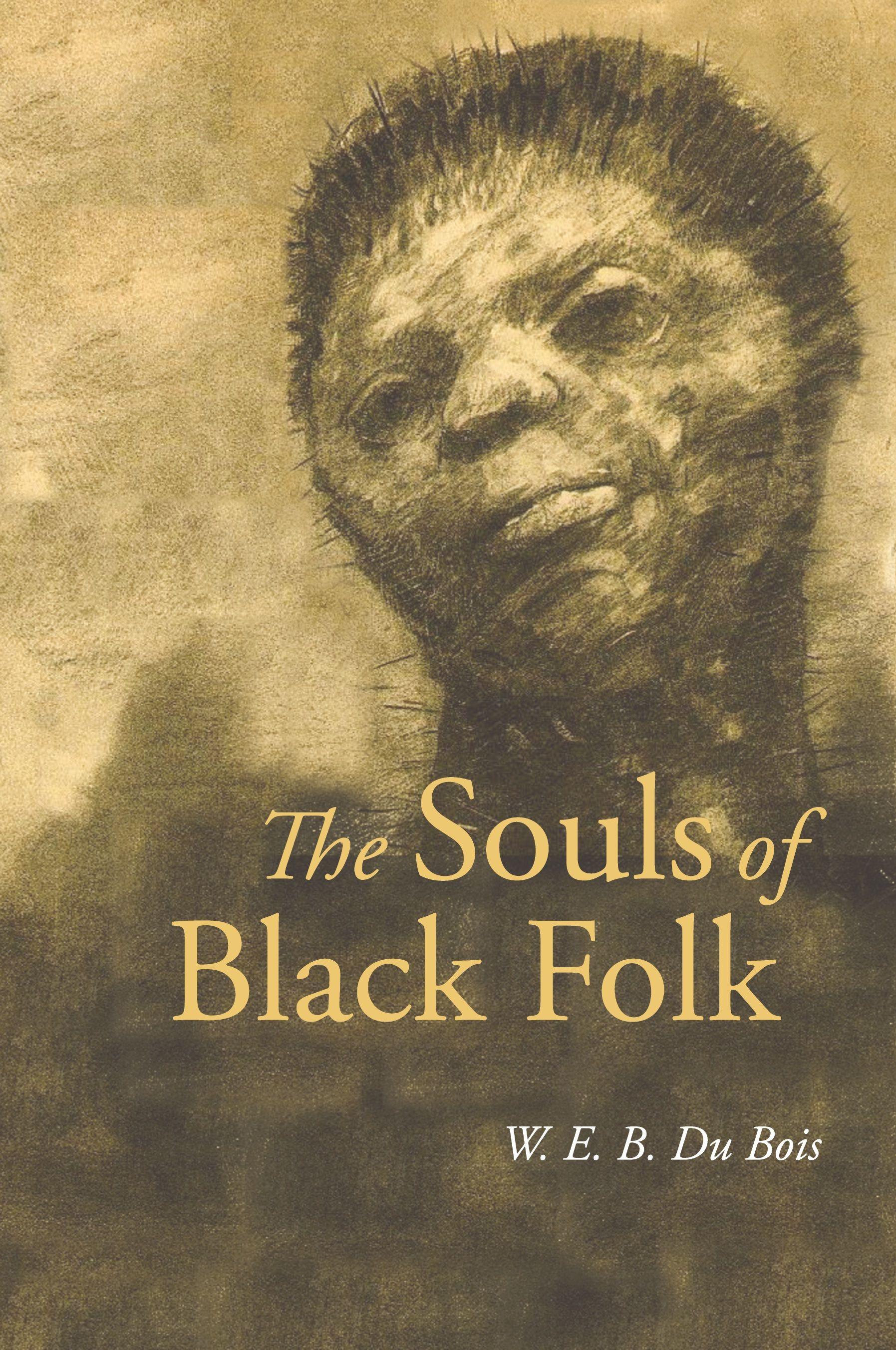 Vorderes Coverbild The Souls of Black Folk