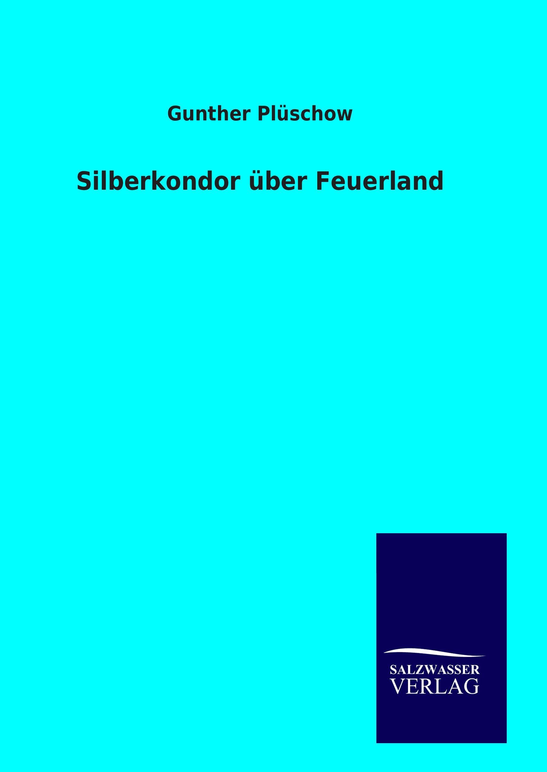 Vorderes Coverbild Silberkondor über Feuerland