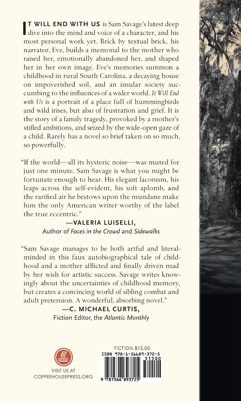 Rückseitencover It Will End with Us