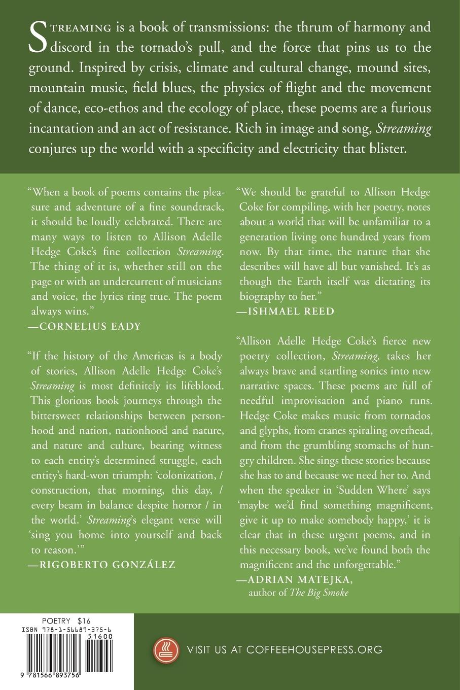 Rückseitencover Streaming