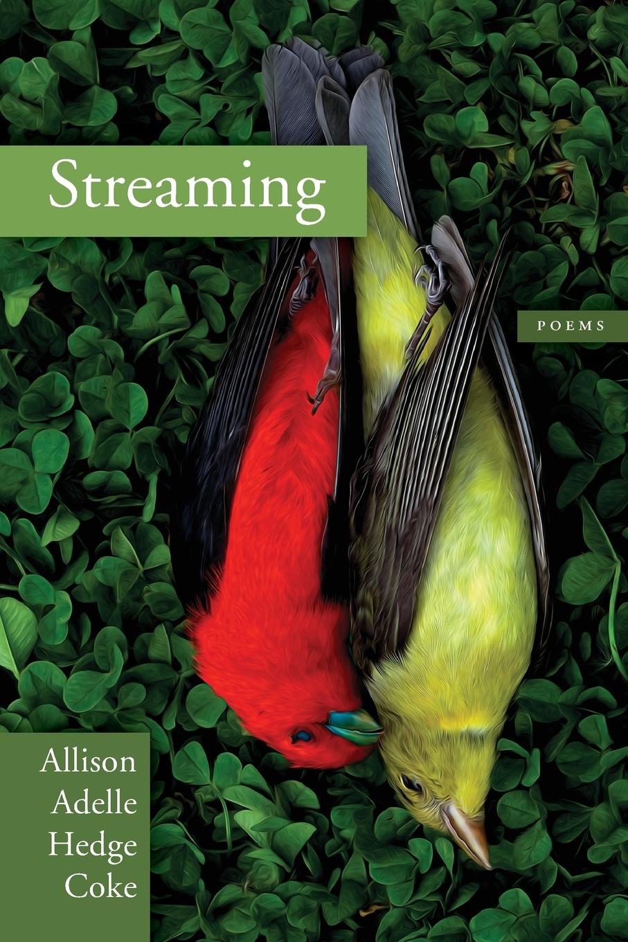 Vorderes Coverbild Streaming