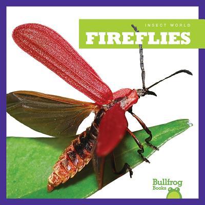 Vorderes Coverbild Fireflies