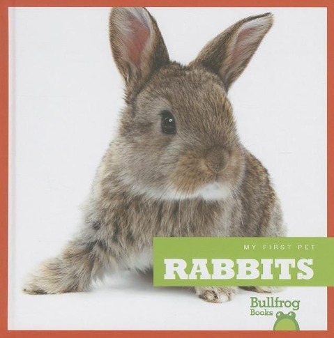 Vorderes Coverbild Rabbits