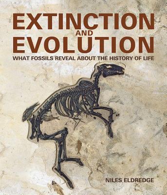 Vorderes Coverbild Extinction and Evolution