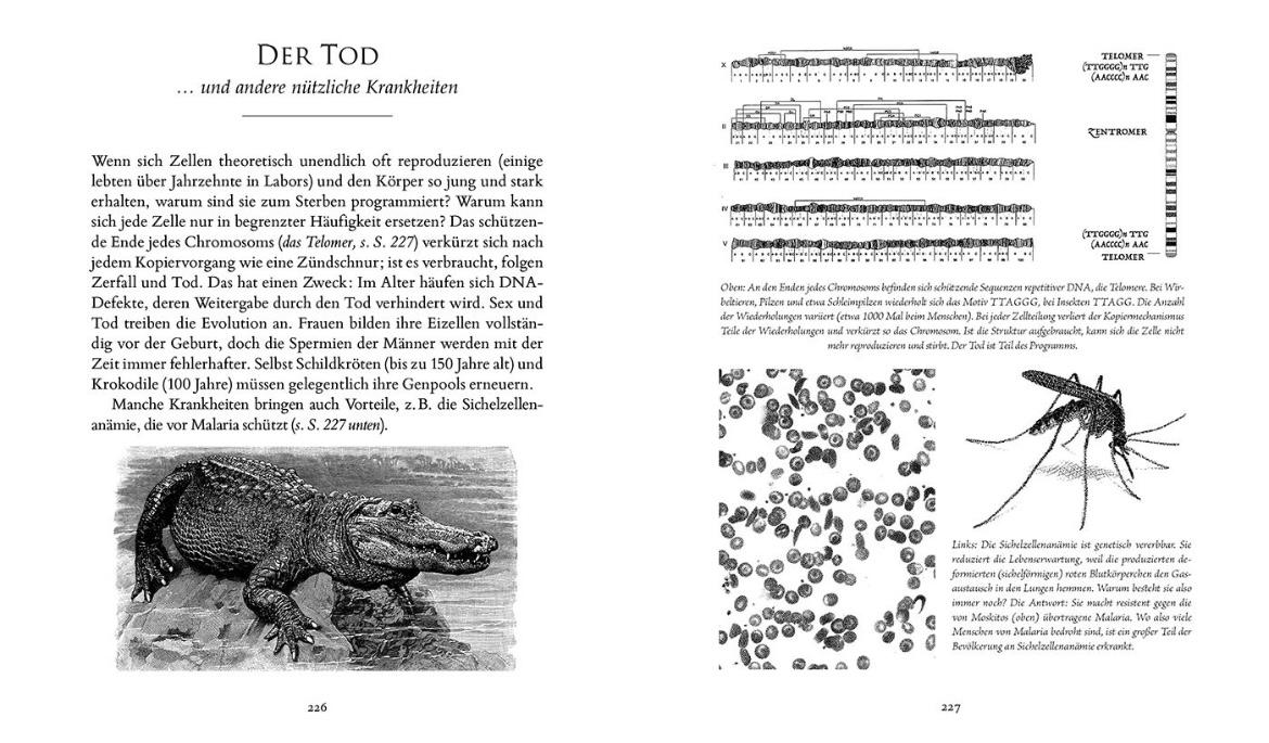Beispielinhalt (Bild) Sciencia