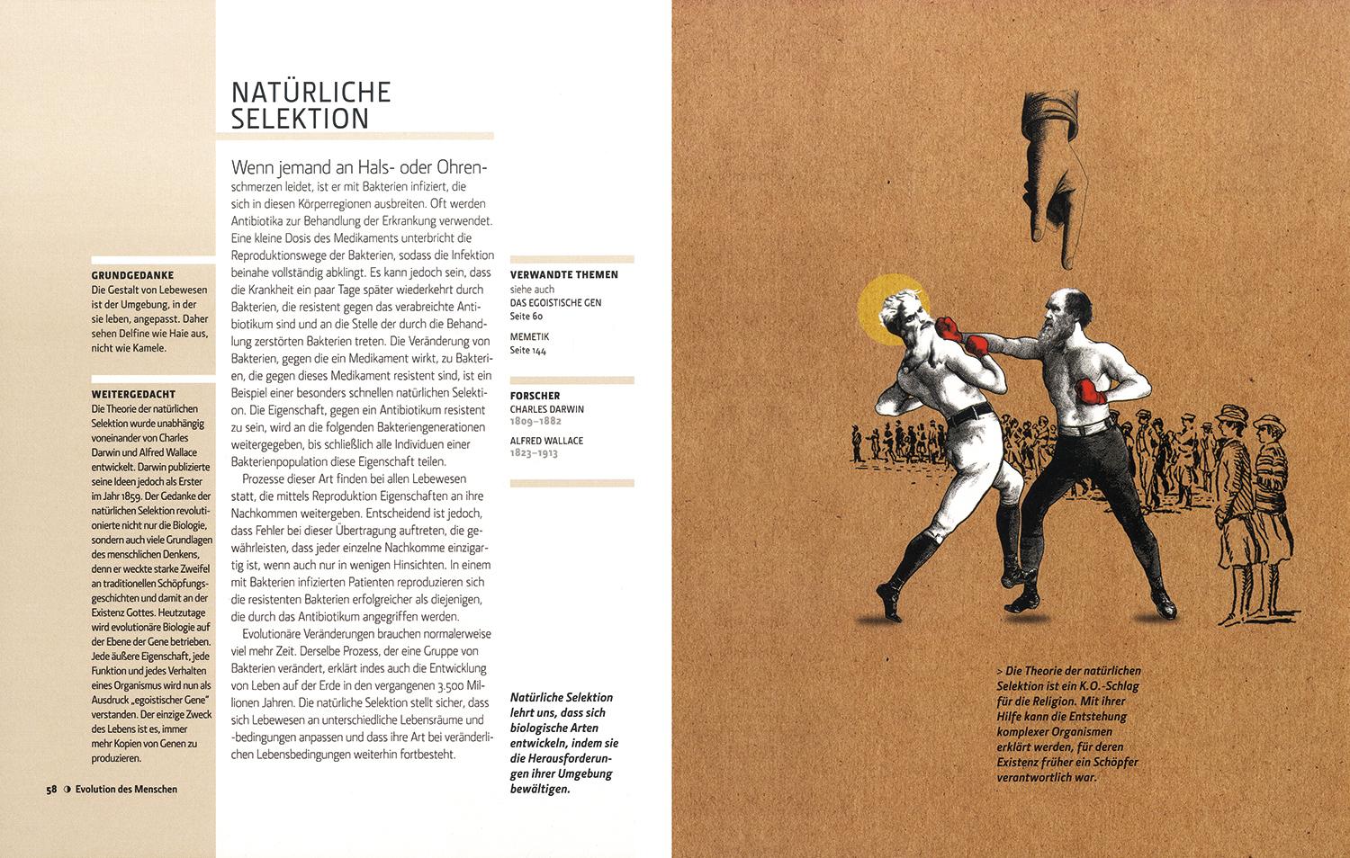 Beispielinhalt (Bild) Wissenschaftliche Theorien in 30 Sekunden