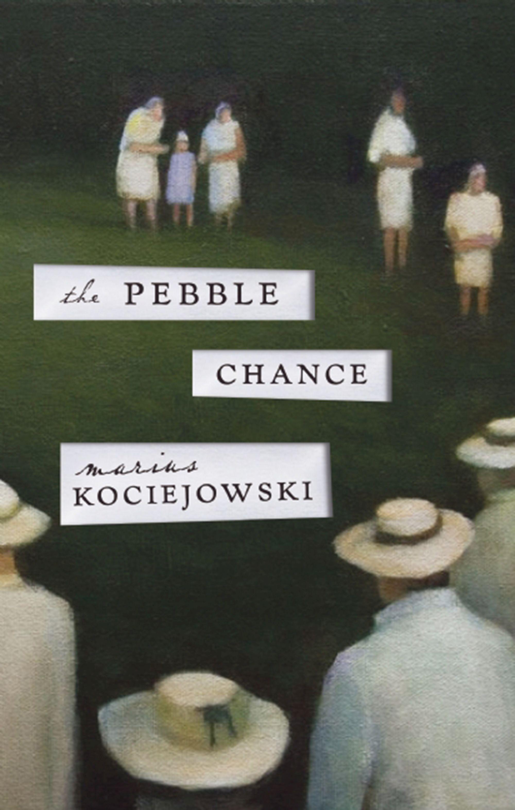 Vorderes Coverbild The Pebble Chance