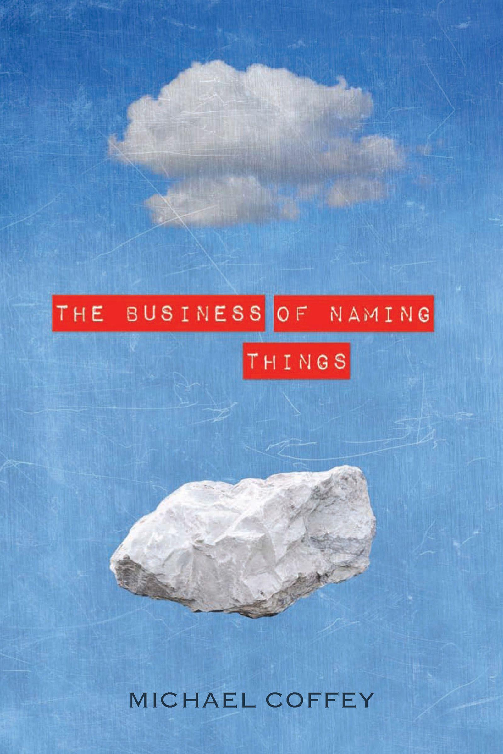 Vorderes Coverbild The Business of Naming Things