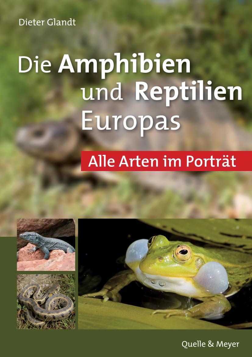 Vorderes Coverbild Die Amphibien und Reptilien Europas