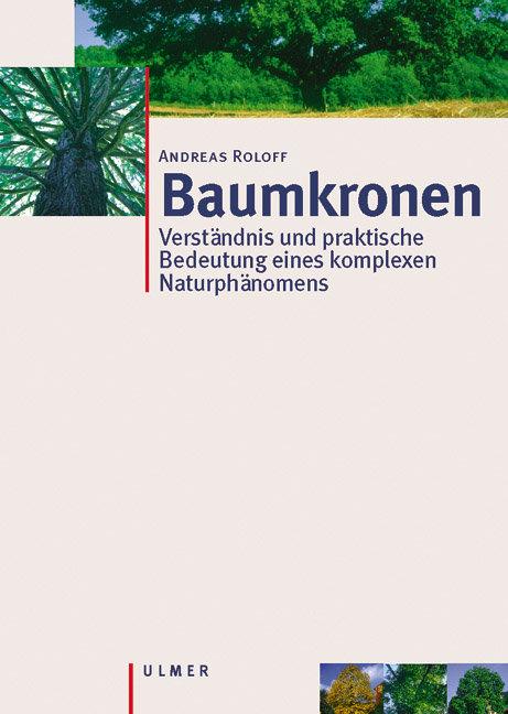 Vorderes Coverbild Baumkronen