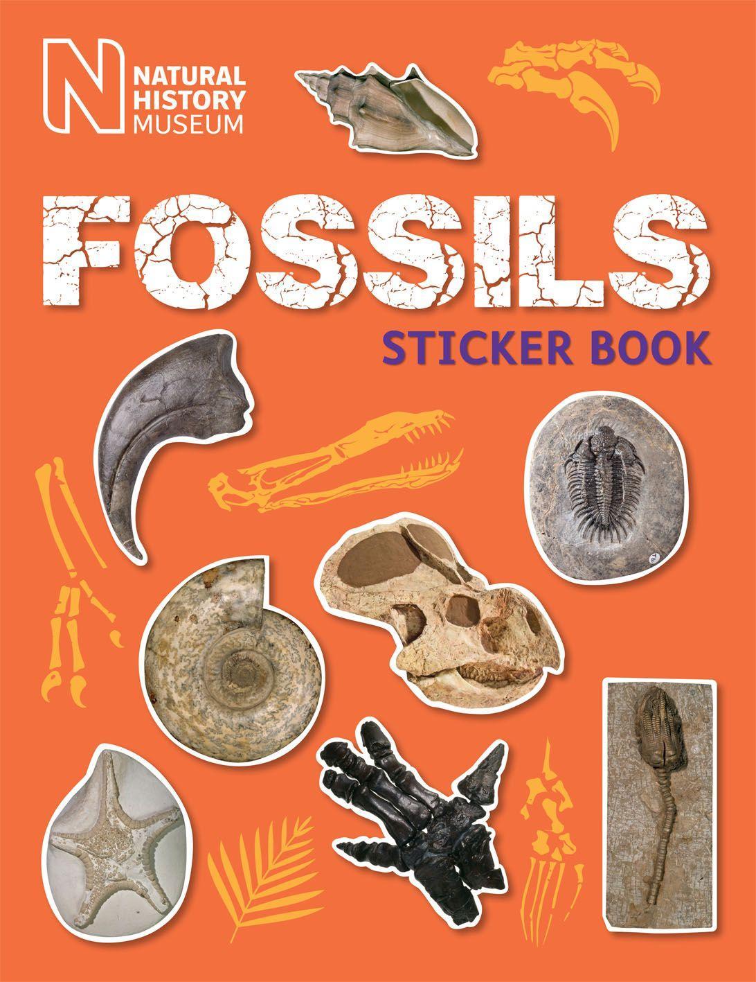 Vorderes Coverbild Fossils Sticker Book