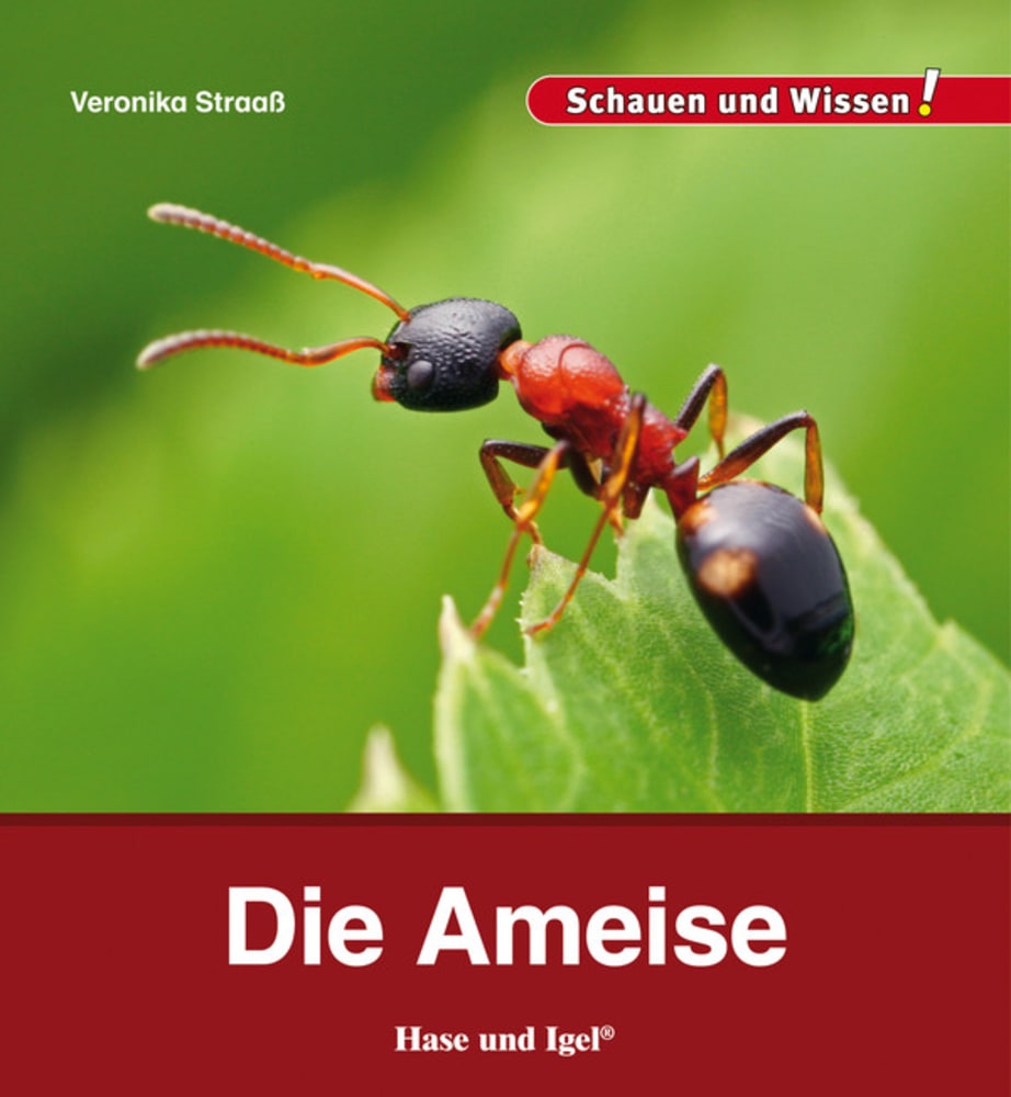 Vorderes Coverbild Die Ameise