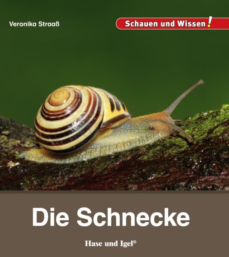 Vorderes Coverbild Die Schnecke