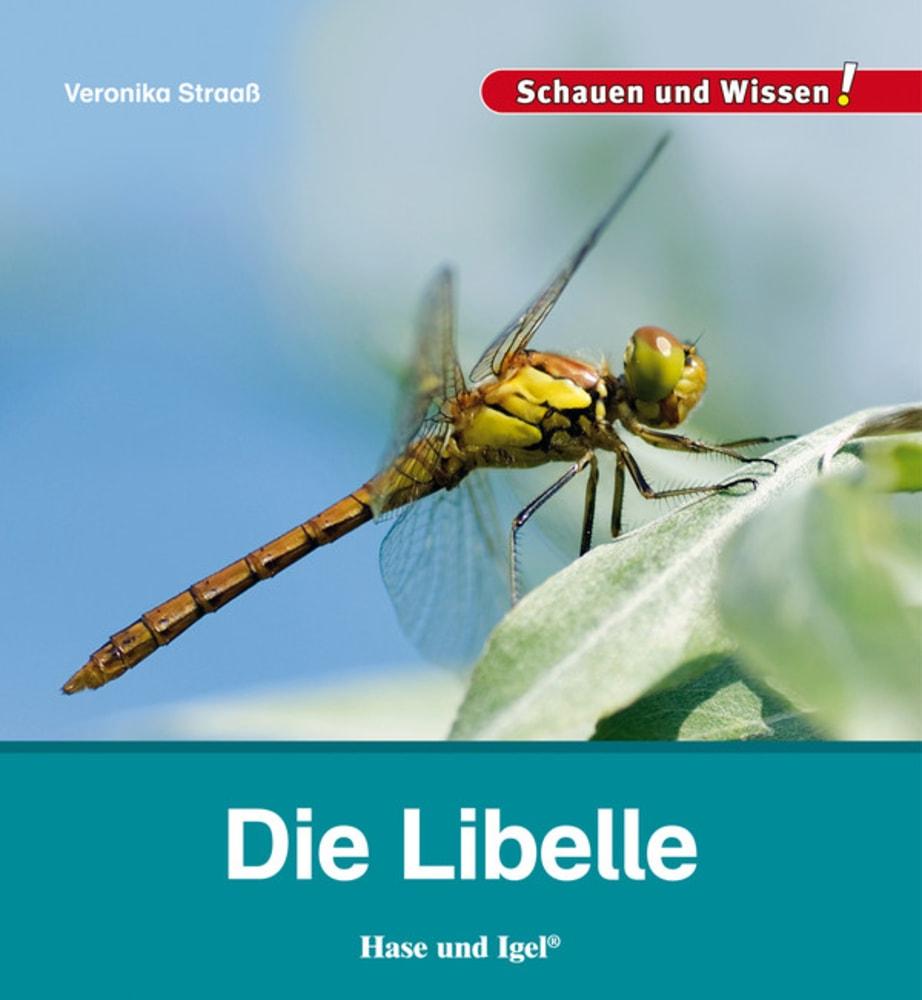 Vorderes Coverbild Die Libelle