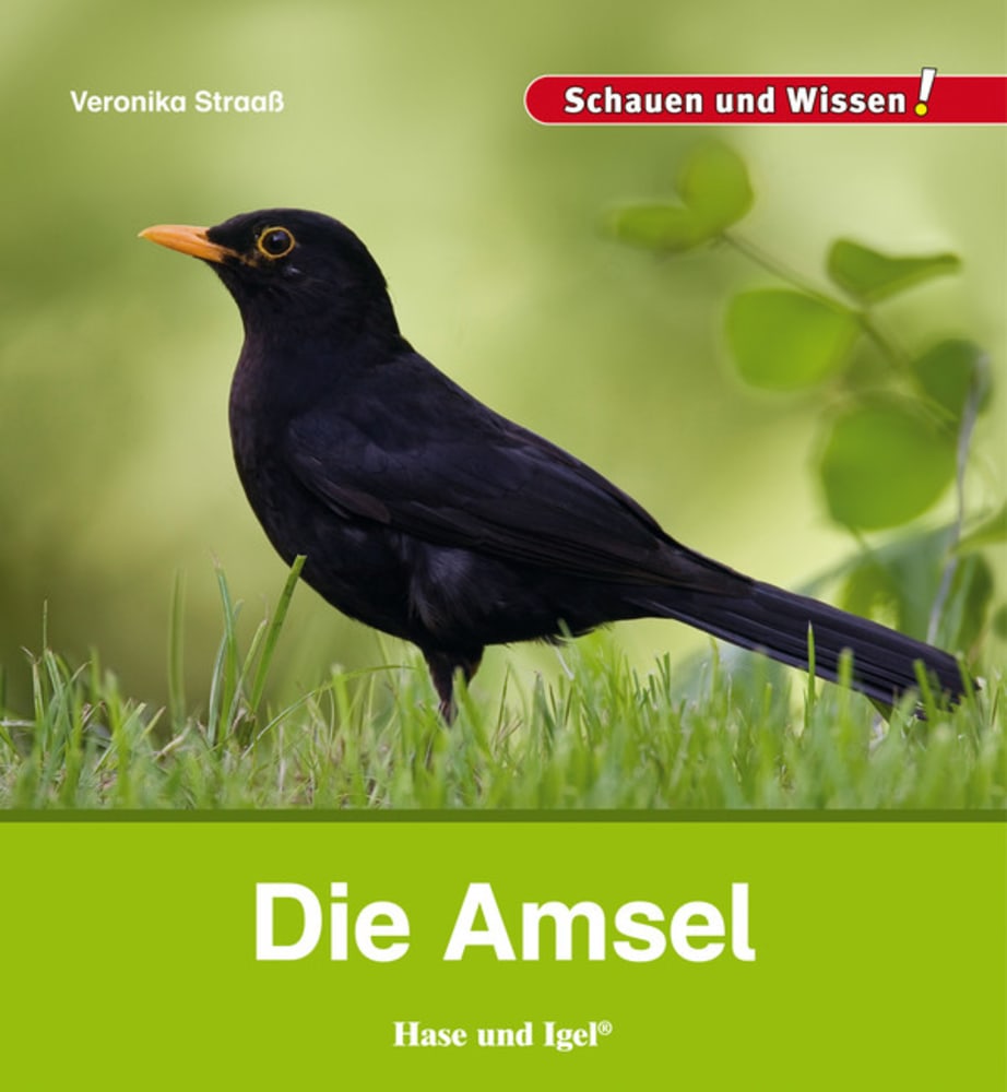 Vorderes Coverbild Die Amsel