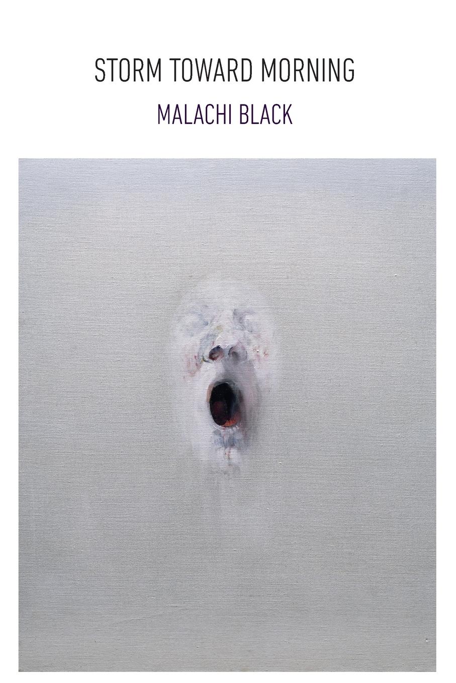 Vorderes Coverbild Storm Toward Morning