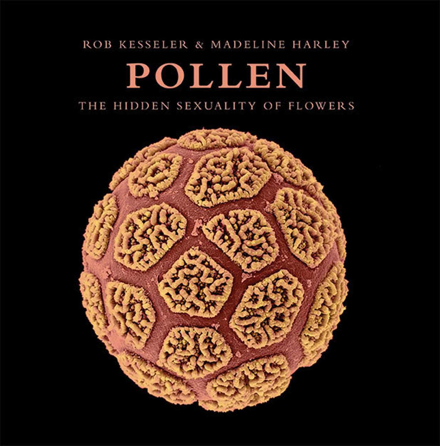 Vorderes Coverbild Pollen