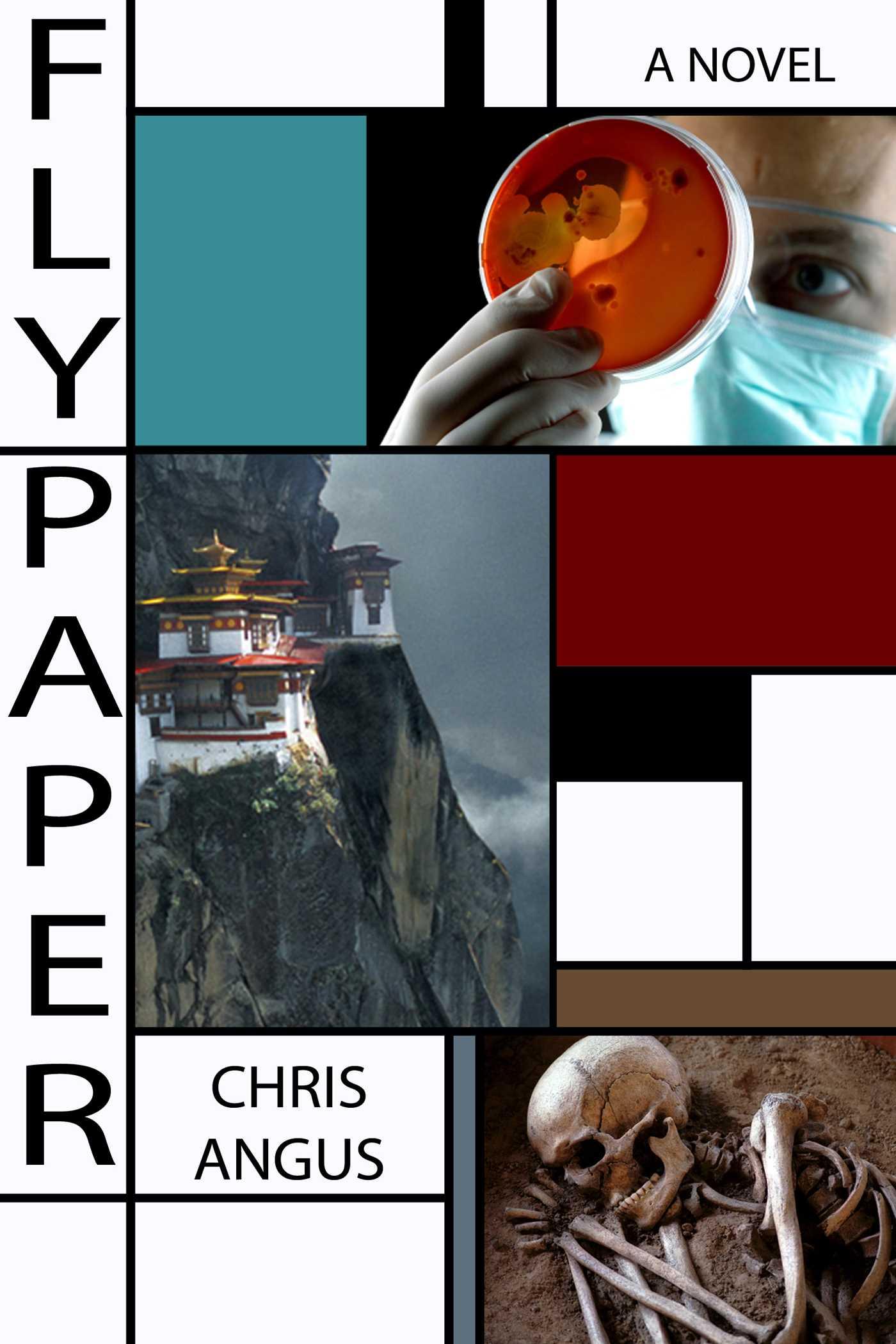 Vorderes Coverbild Flypaper