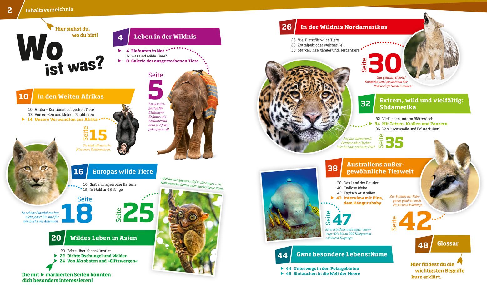 Beispielinhalt (Bild) WAS IST WAS Band 13 Wilde Tiere. Ungezähmt in der Wildnis