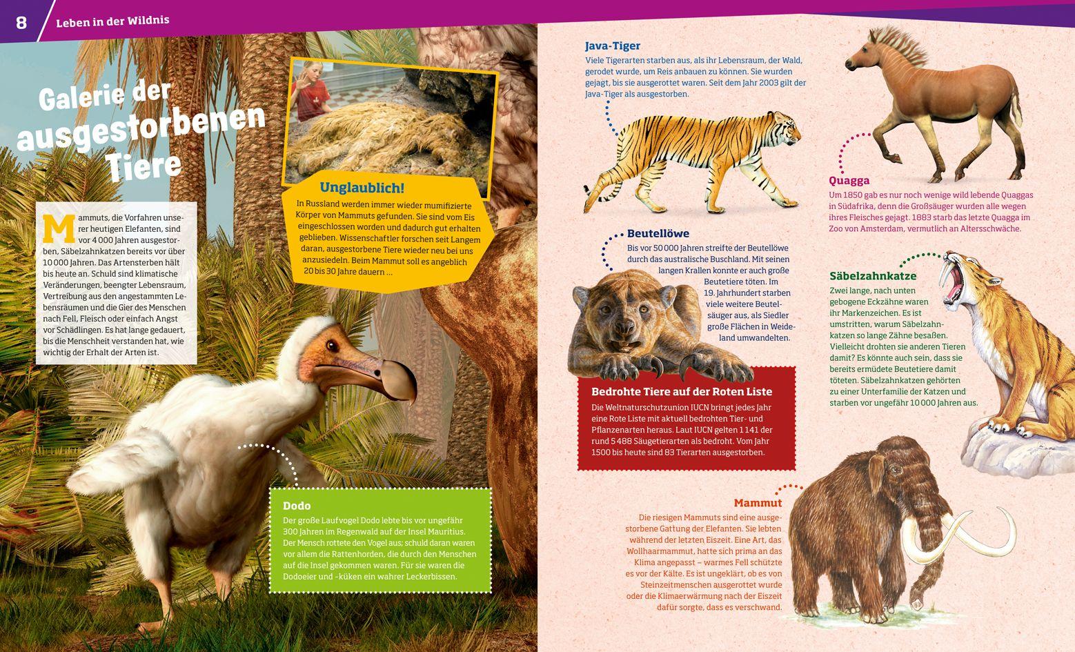 Beispielinhalt (Bild) WAS IST WAS Band 13 Wilde Tiere. Ungezähmt in der Wildnis
