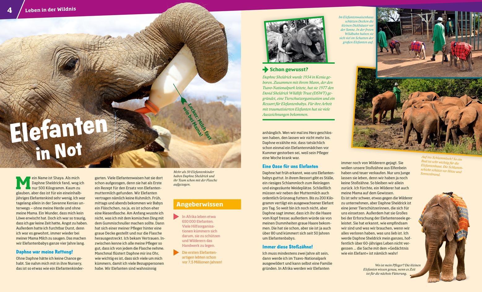 Beispielinhalt (Bild) WAS IST WAS Band 13 Wilde Tiere. Ungezähmt in der Wildnis