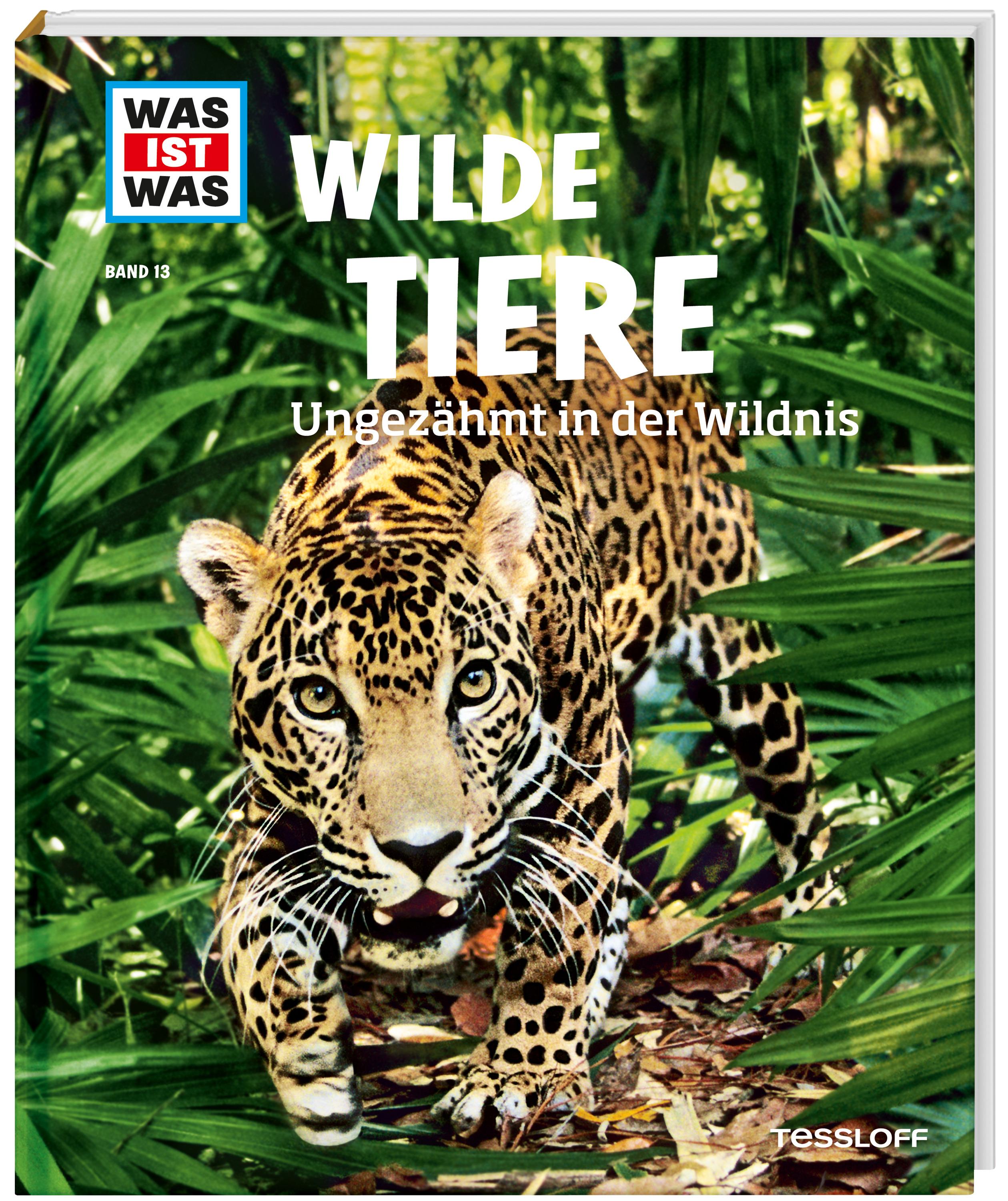 Vorderes Coverbild WAS IST WAS Band 13 Wilde Tiere. Ungezähmt in der Wildnis