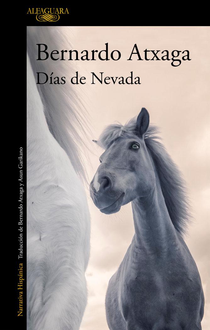 Vorderes Coverbild Días de nevada