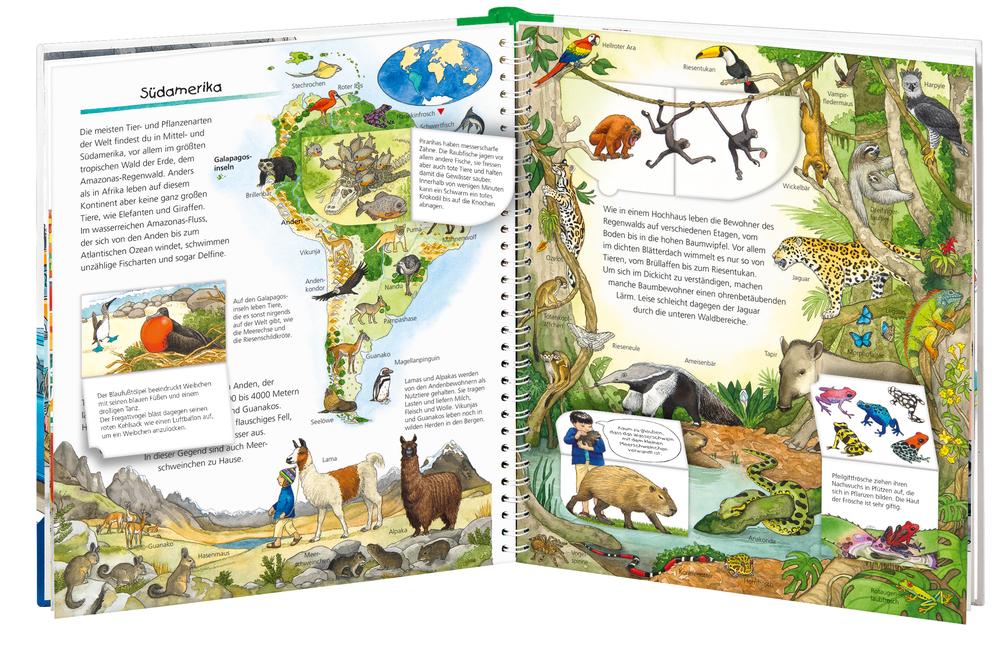 Beispielinhalt (Bild) Wieso? Weshalb? Warum? Mein großer Tieratlas