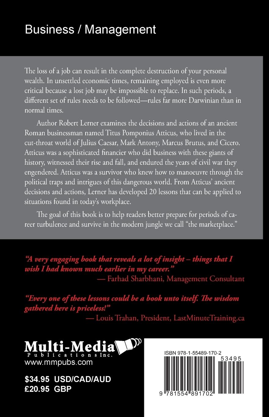 Rückseitencover Career Turbulence