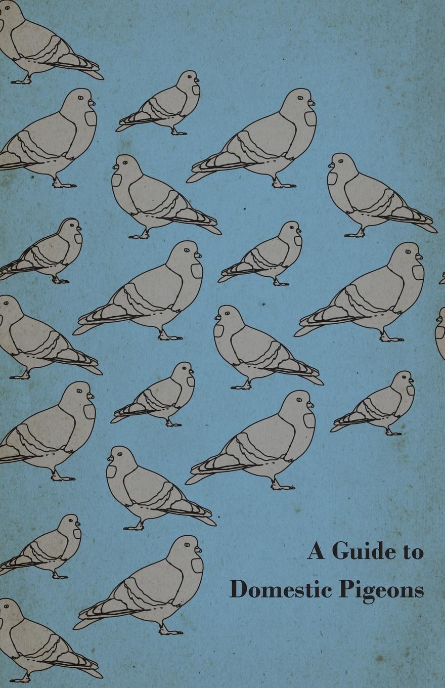 Vorderes Coverbild A Guide to Domestic Pigeons - With Chapters on Doves, Training and Their Habits