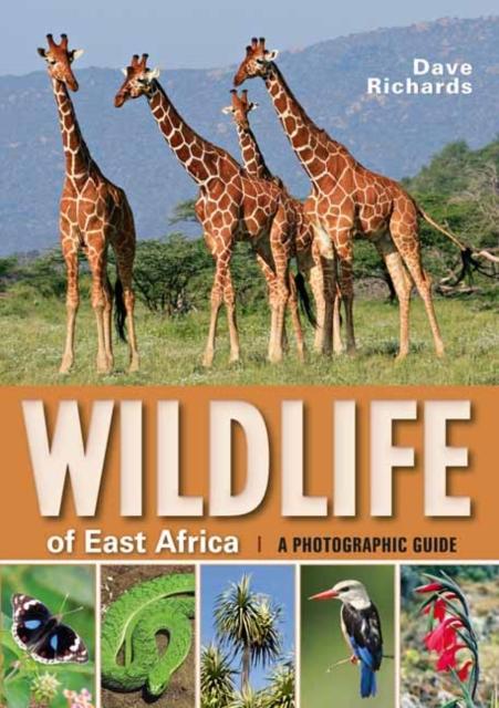 Vorderes Coverbild Wildlife of East Africa