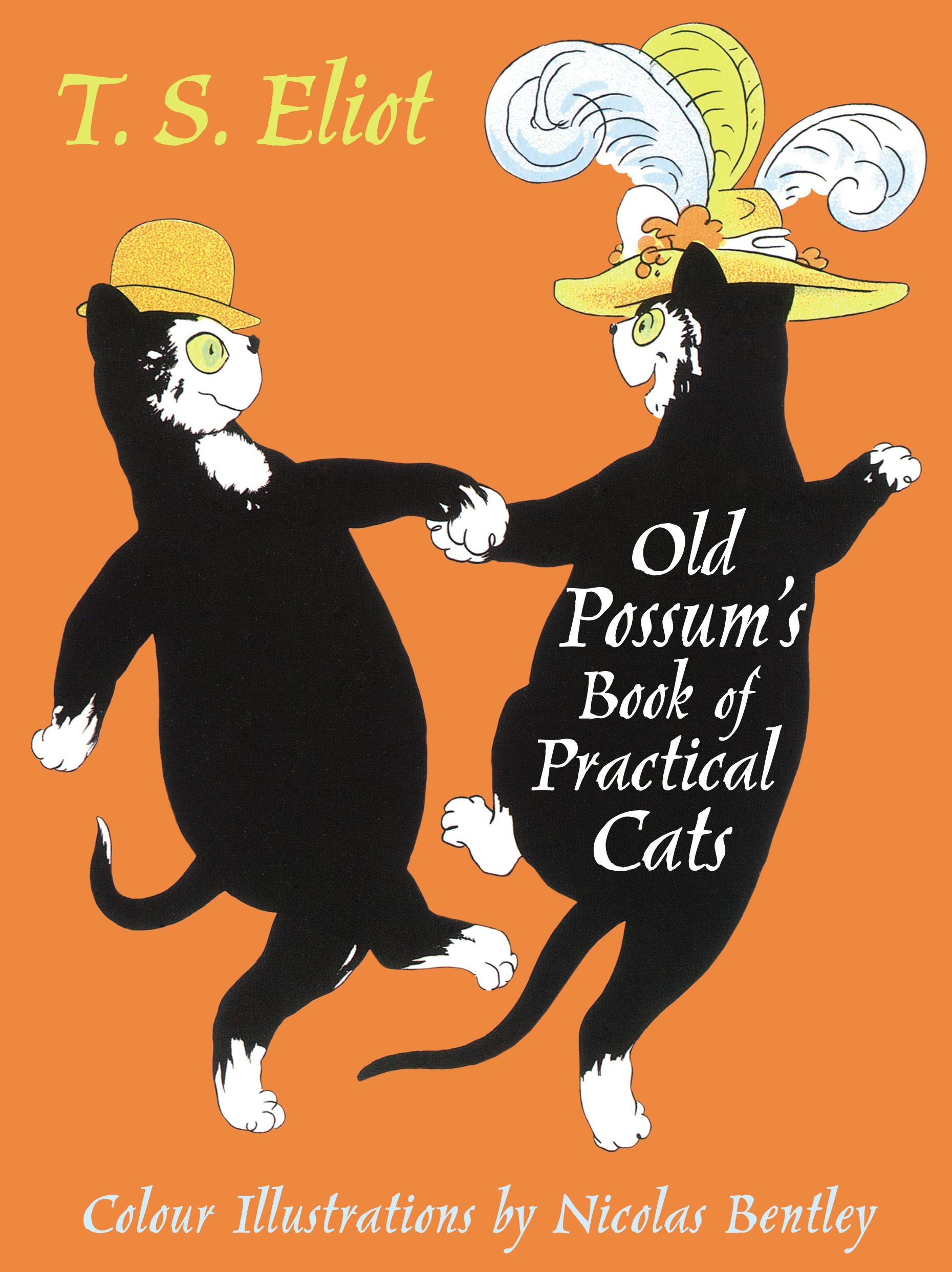 Vorderes Coverbild The Illustrated Old Possum
