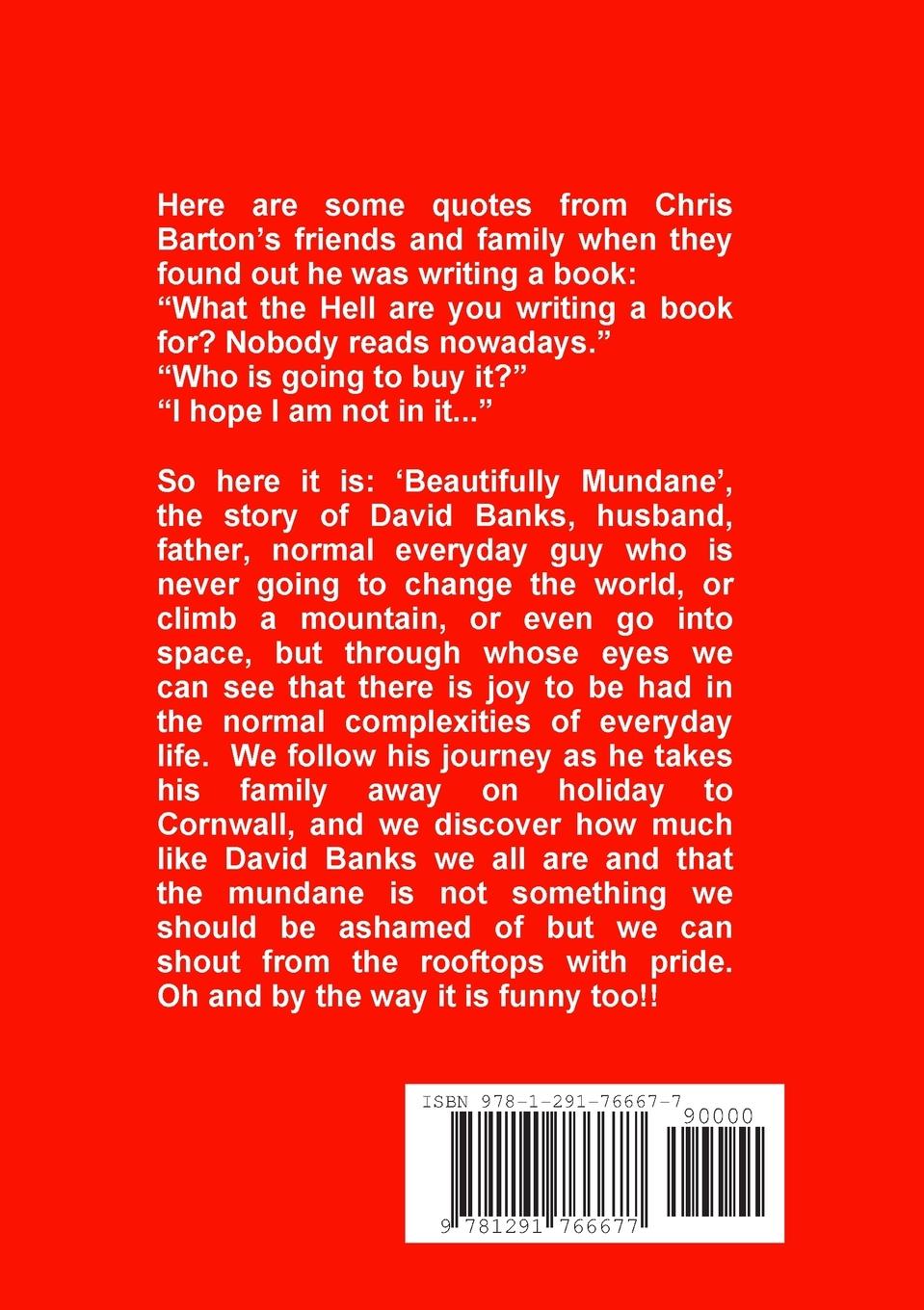 Rückseitencover Beautifully Mundane