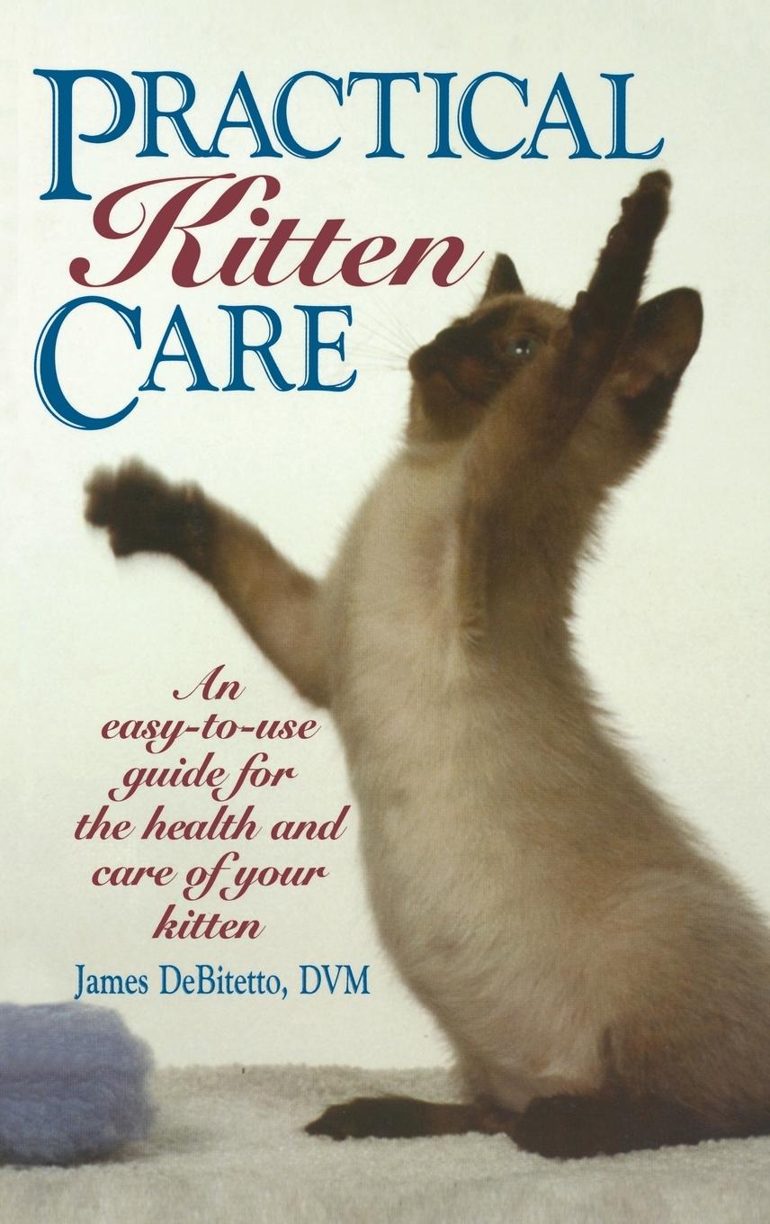 Vorderes Coverbild Practical Kitten Care