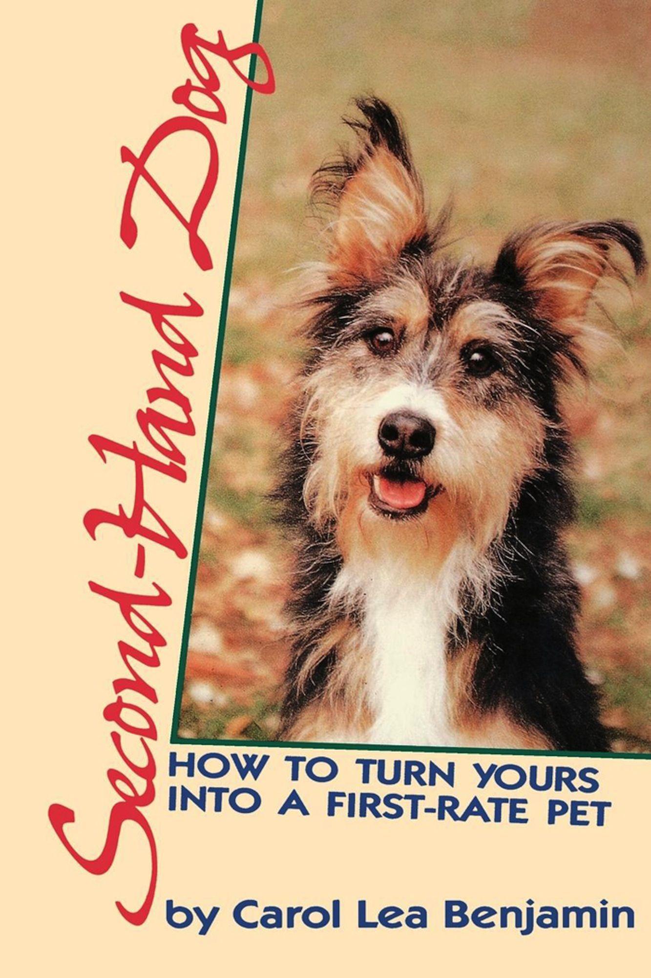 Vorderes Coverbild Second-Hand Dog