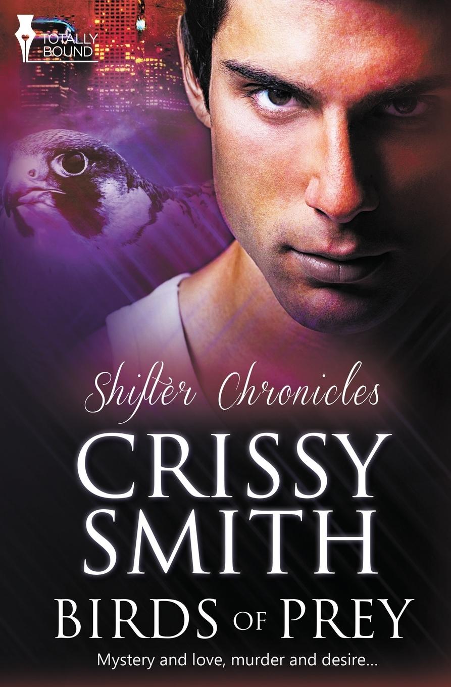 Vorderes Coverbild Shifter Chronicles