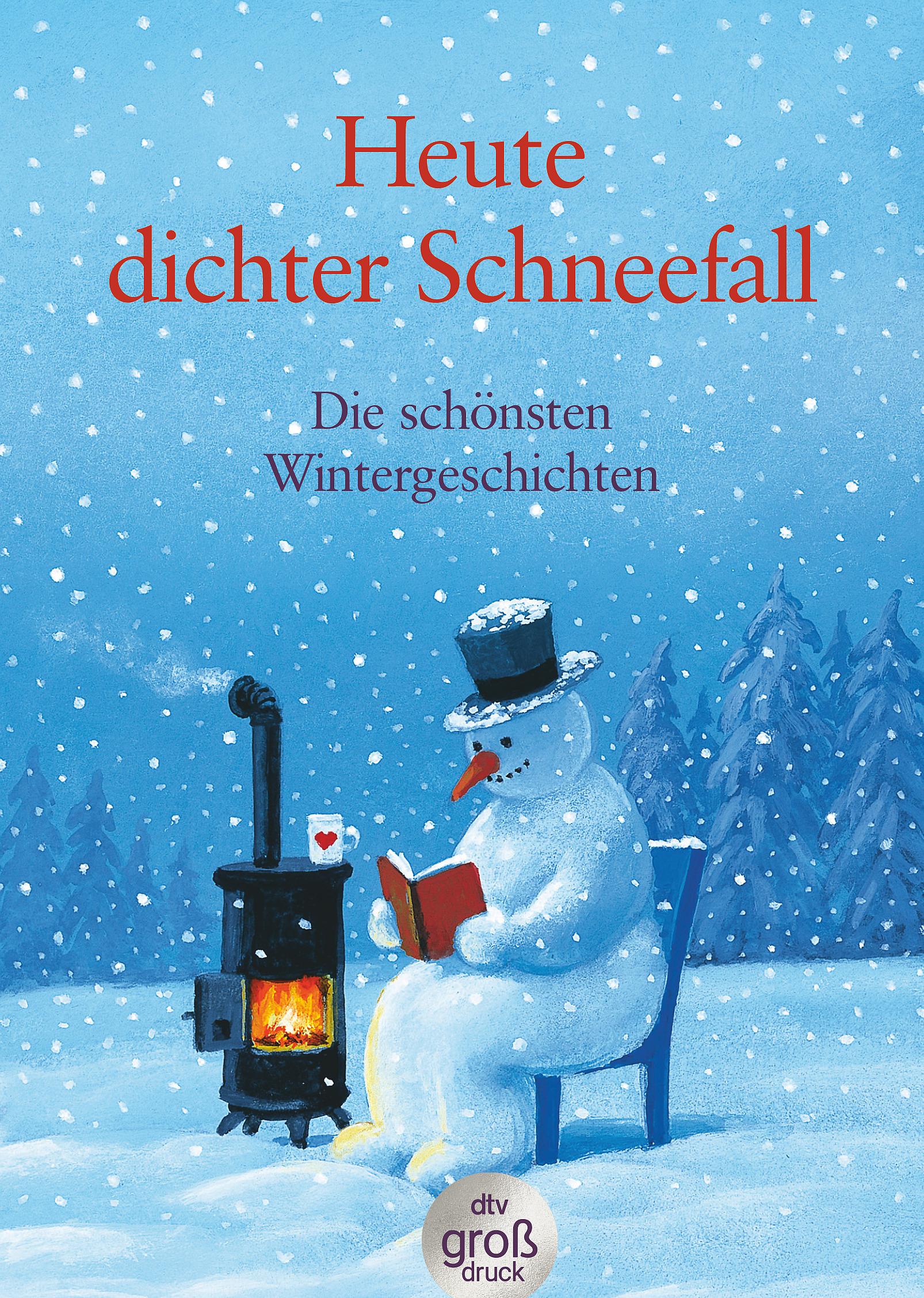 Vorderes Coverbild Heute: dichter Schneefall. Großdruck
