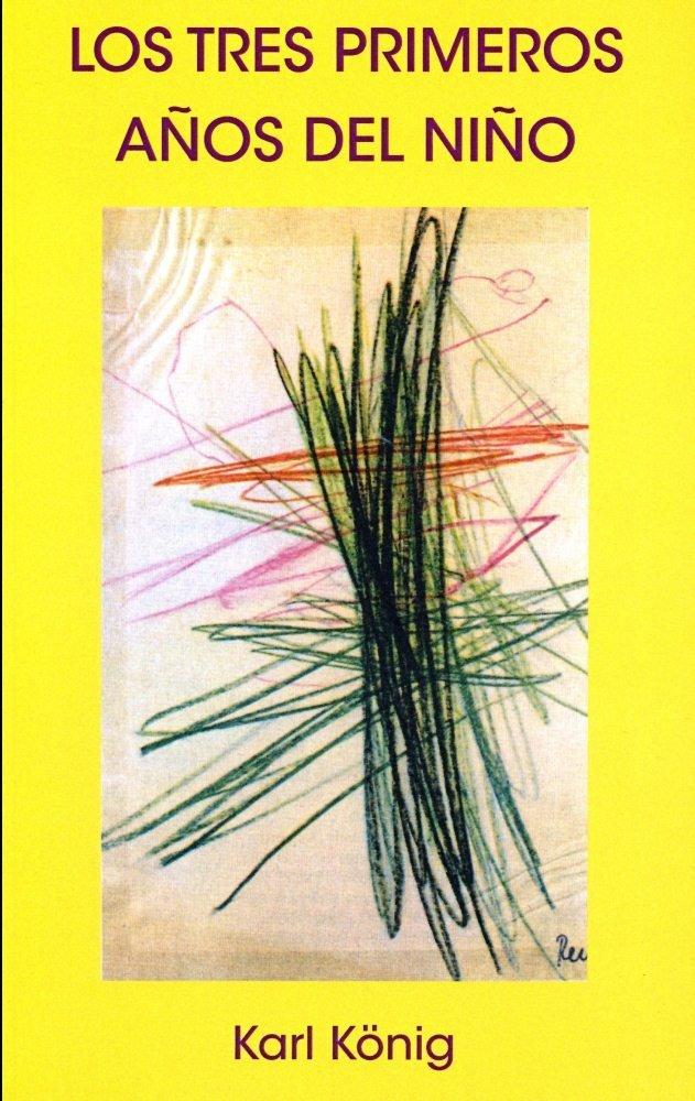 Vorderes Coverbild Los tres primeros años del niño : andar, hablar, pensar