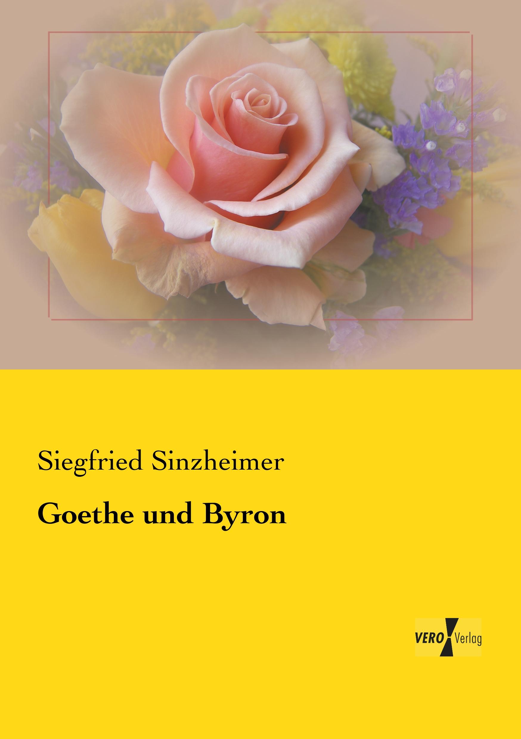 Vorderes Coverbild Goethe und Byron