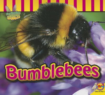Vorderes Coverbild Bumblebees