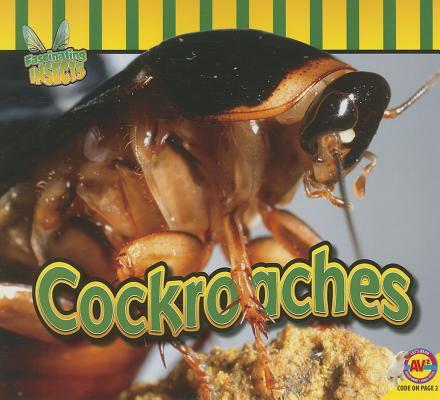 Vorderes Coverbild Cockroaches
