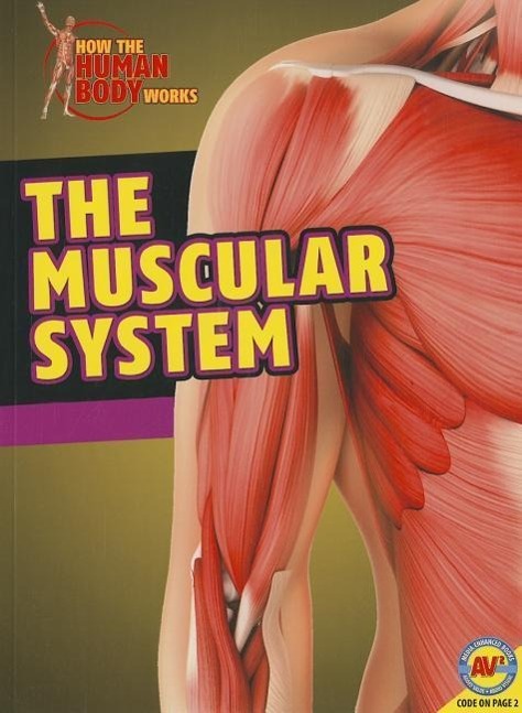 Vorderes Coverbild The Muscular System