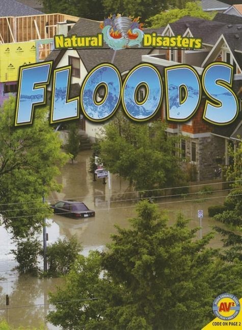Vorderes Coverbild Floods