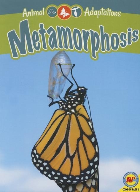 Vorderes Coverbild Metamorphosis